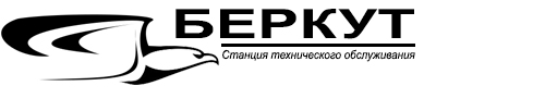 Мойка ухта. СТО Беркут Ухта. Сигнализация Berkut logo. ООО Беркут Тюмень логотип предприятия.